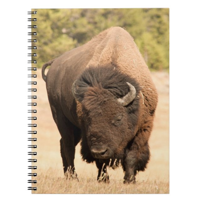 Bison Notebook (Front)