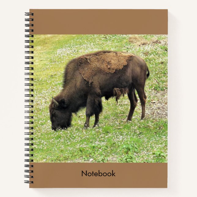 Bison Notebook (Front)