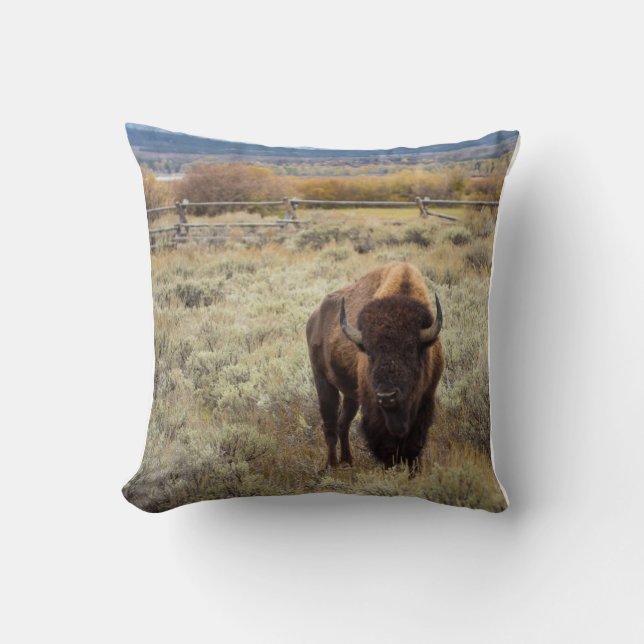 Bison Pillow (Front)