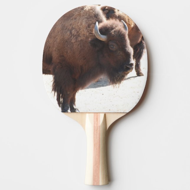 Bison Ping Pong Paddle (Front)