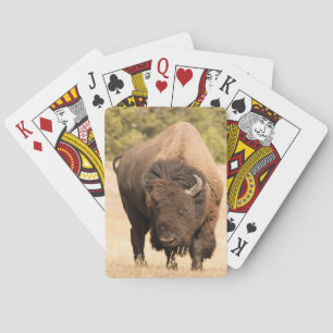 Bison Playing Cards