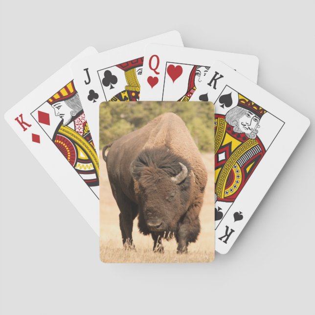 Bison Playing Cards (Back)