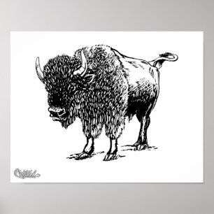 Bison Poster