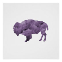 Bison