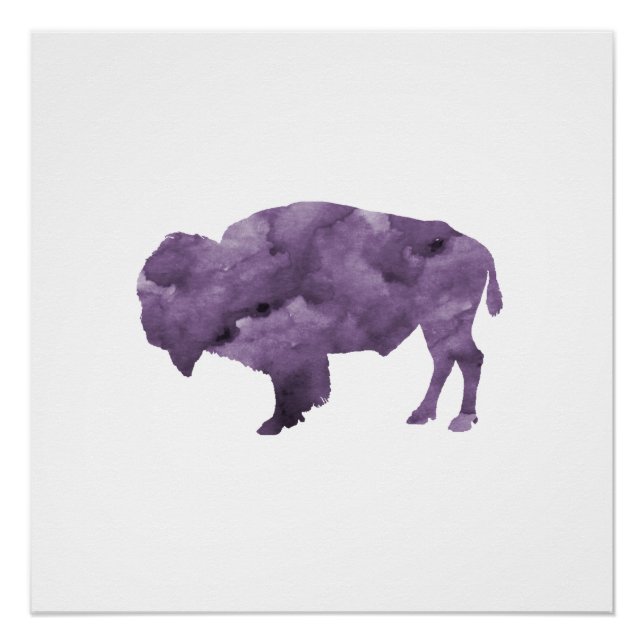 Bison Poster (Front)