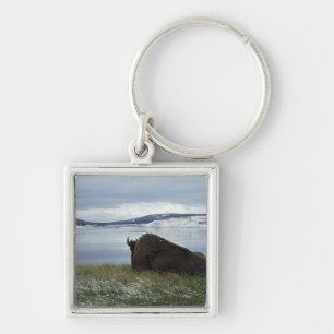 Bison Resting By Yellowstone River With Snow On Keychain