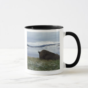 Bison Resting By Yellowstone River With Snow On Mug