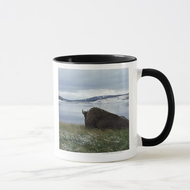 Bison Resting By Yellowstone River With Snow On Mug (Right)