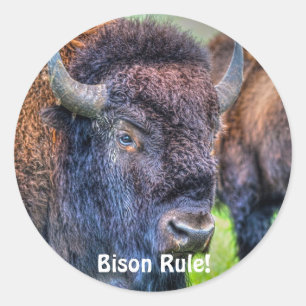 Bison Rule ! Stickers Art-Lover-Buffalo