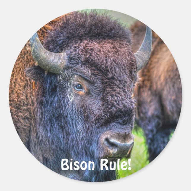 Bison Rule ! Stickers Art-Lover-Buffalo (Devant)