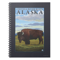 Bison Scene - Chitina River Basin, Alaska