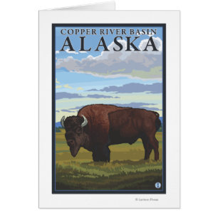 Bison Scene - Copper River Basin, Alaska
