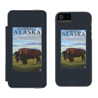 Bison Scene - Fairwell, Alaska