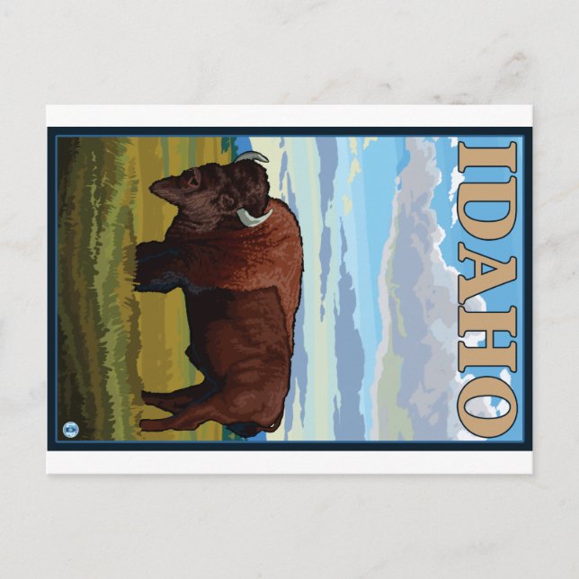 Bison Scene - Idaho Postcard (Front)