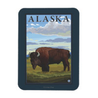Bison Scene- Vintage Travel Poster