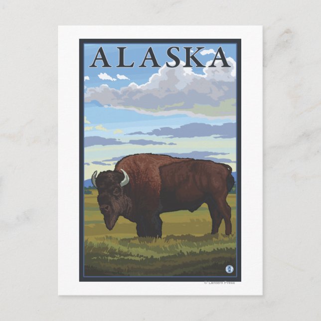 Bison Scene- Vintage Travel Poster Postcard (Front)