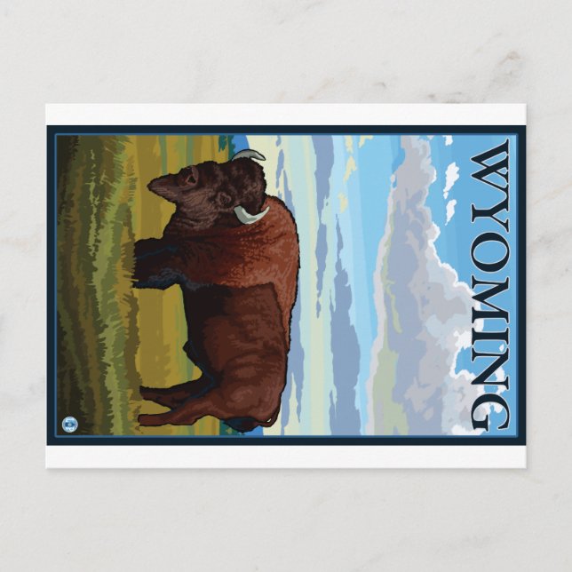 Bison Scene - Wyoming Postcard (Front)