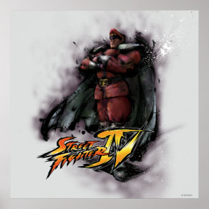 Bison Standing Poster