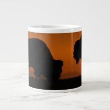 bison sunset