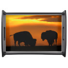 bison sunset