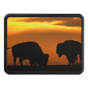 bison sunset trailer hitch cover