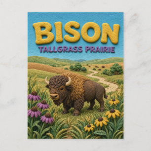 Bison Tallgrass Prairie Modern KlayKoo Postcard