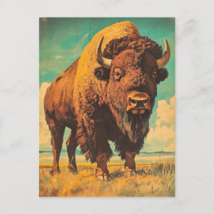 Bison Vintage Postcard