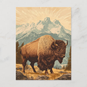 Bison Vintage Postcard