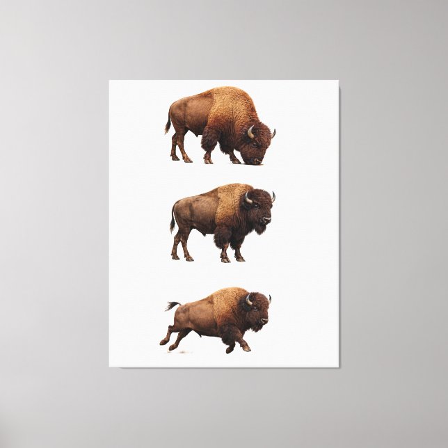 Bison Wildlife Wall Art Poster (Front)