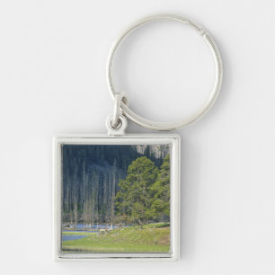 Bison with calf at Yellowstone National Park Keychain