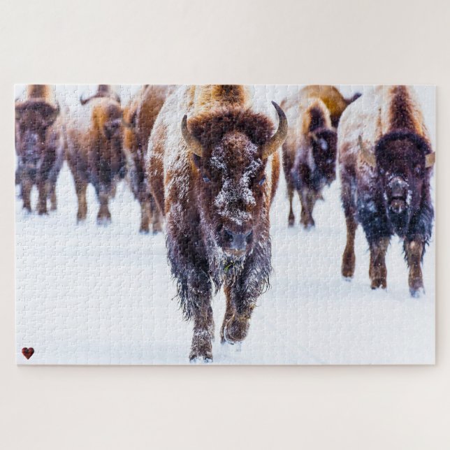 Bison Yellowstone Wyoming Jigsaw Puzzle (Horizontal)