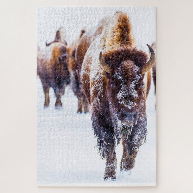 Bison Yellowstone Wyoming. Jigsaw Puzzle (Vertical)