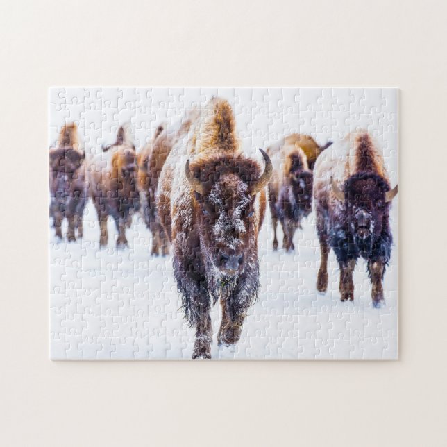 Bison Yellowstone Wyoming. Jigsaw Puzzle (Horizontal)