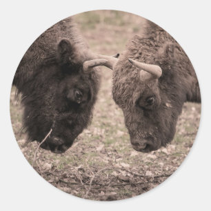 Bisons Classic Round Sticker