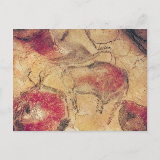 Bisons, from the Caves at Altamira, c.15000 BC Postcard (Front)