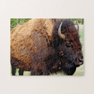 Bisson Montana. Jigsaw Puzzle