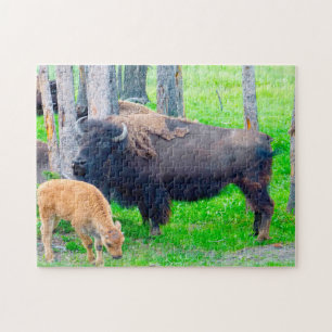 Bisson Montana. Jigsaw Puzzle