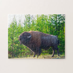 Bisson Montana. Jigsaw Puzzle