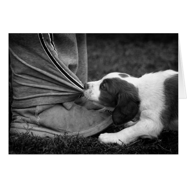 Biter d'ankle (Devant horizontal)