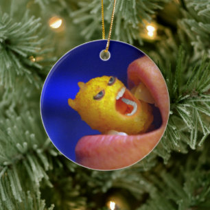 Biting Tater Tot Ceramic Ornament