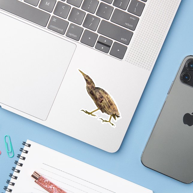 Bittern (Laptop w/ iPhone)