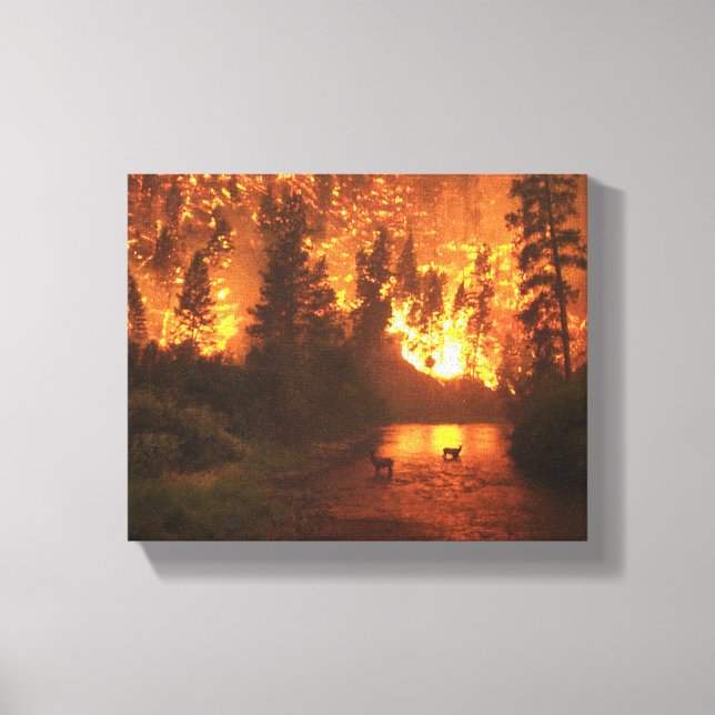 Bitterroot National Park Forest Fire Canvas Print (Front)