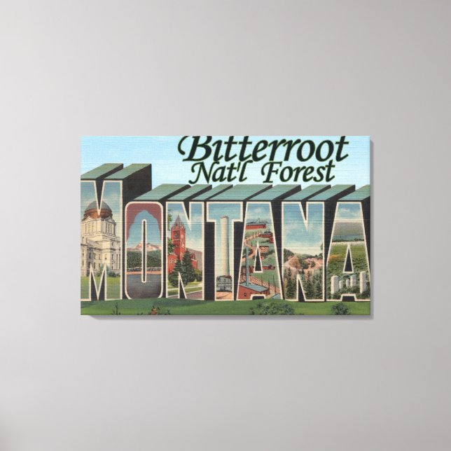 Bitterroot Nat'l Forest, Montana Canvas Print (Front)
