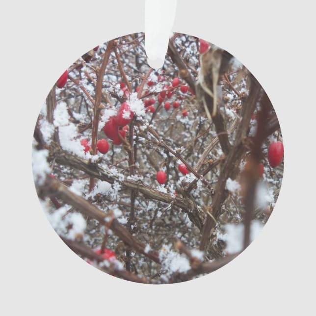 Bittersweet Berries Ornament (Front)