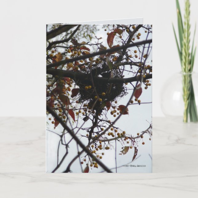 Bittersweet Nest Card (Front)