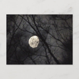 BL - Carte postale Lune et Arbres Nature