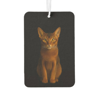 Black 4 Luxe Car Air Fresheners, Abyssinian Beauty Air Freshener
