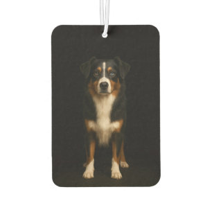 Black 4 Luxe Car Air Fresheners Aussie Shepherd