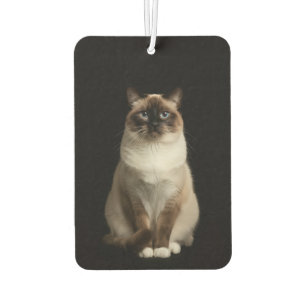 Black 4 Luxe Car Air Fresheners, Birmanese Cat Freshener