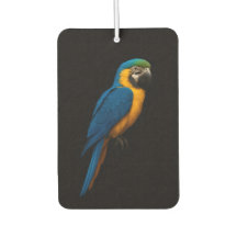 Black 4 Luxe Car Air Fresheners, Blue Yellow Macaw